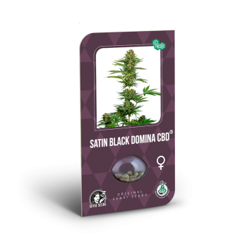 Satin Black Domina CBD 3...