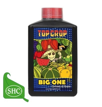 Big One 1l