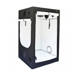 Homebox Evolution Q120