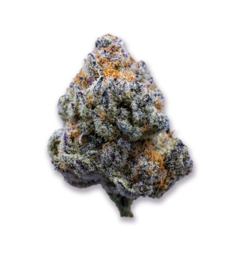 Platinum Mimosa Cookies 5+2