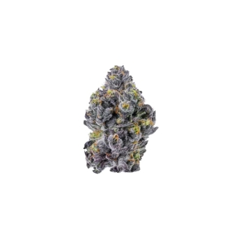 Semilla Sticky Wasabi 5+2...