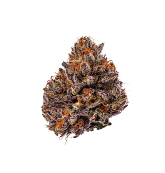 Semillas Tropicana Cherry 5+2