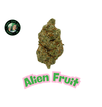 Flores de CBD Alien 2g