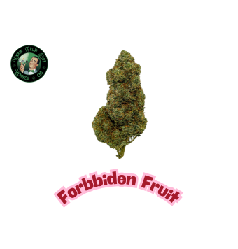 Flores de CBD Forbidden...