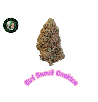 Flores de CBD Girl Scout...