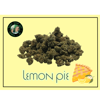 Flores de CBD Lemon Pie...