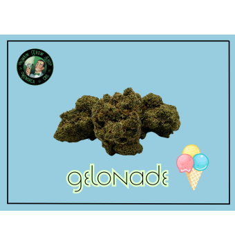 Flores de 10-0H Gelonade 2g