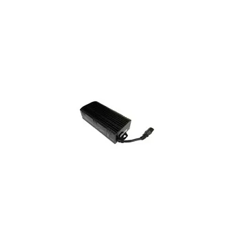Balastro Digital 600 w No...