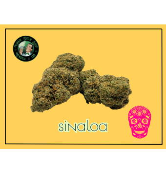 Flores de CBD Sinaloa 2g