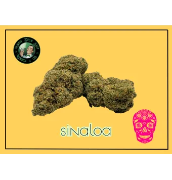 Flores de CBD Sinaloa 2g