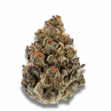 Bruce Banner III 5+2