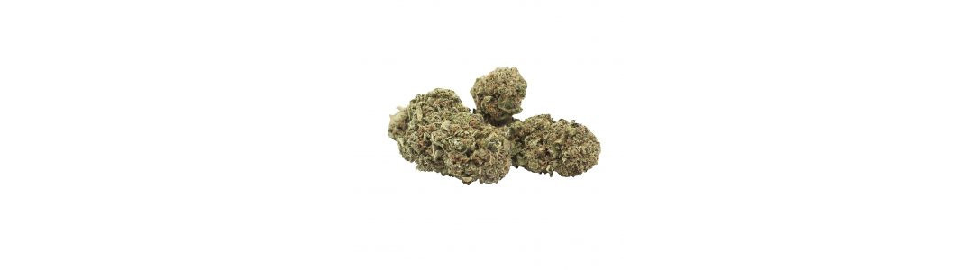 Flores de CBD - Venta online - Nimbin Grow Shop