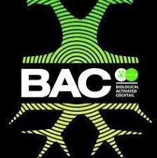 Bac