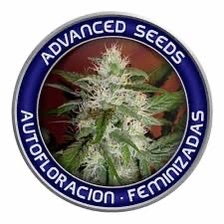 Advanced Seeds