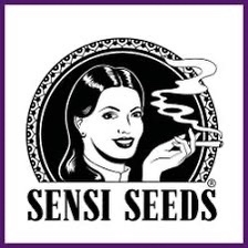 Sensi Seeds