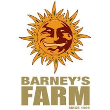 Barneys Farm